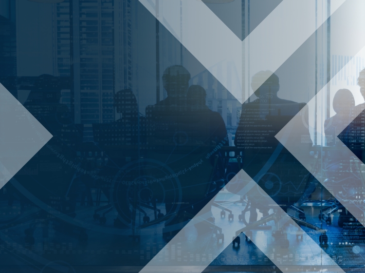 VLC Security Consulting Banner