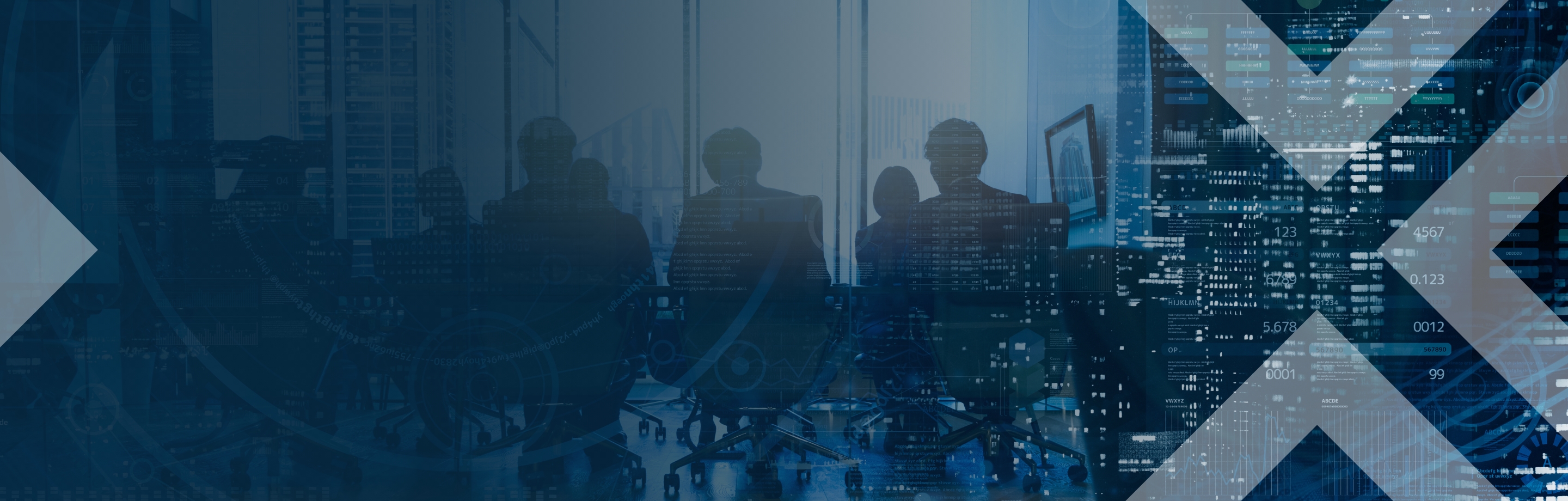 VLC Security Consulting Banner