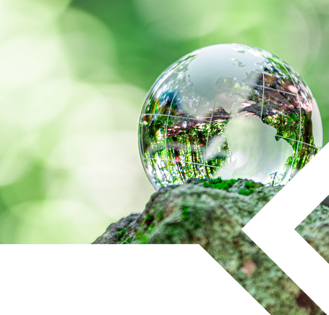 SDGs D&I Banner