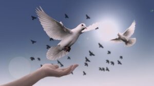 【日本野鳥の会】Emotet感染で職員なりすますメール　不審な場合は削除呼びかけ