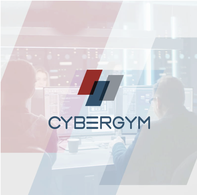 脆弱性診断とペネトレーションテストとの違いとは？ 日本とアメリカでの違いと必要性をご紹介