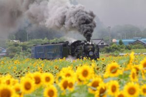 約3万2,000名分の市民情報メールで自宅へ送信　職員2名懲戒免職【釜石市】