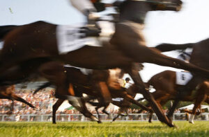 日本中央競馬会で不正アクセス被害　約500件分の関係者メール内容流出の可能性