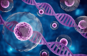 「日本発生生物学会」で不正アクセス　会員の個人情報窃取された疑い