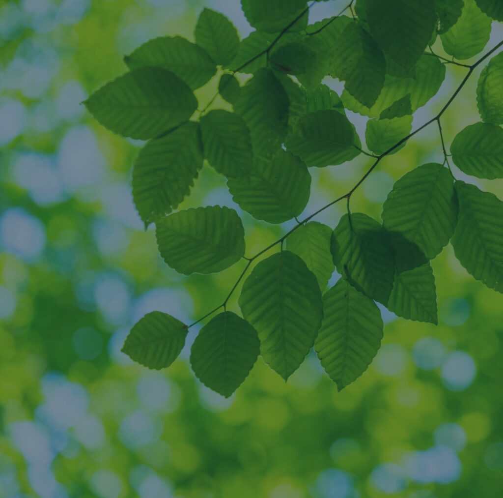 フィッシング詐欺とは？その意味と対策を解説